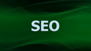 سئو مخفف چیست