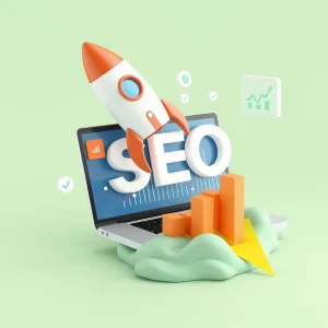 چند نوع سئو وجود دارد؟